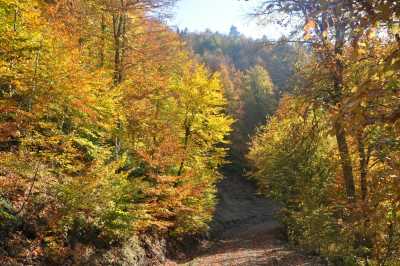 Yılançatı Kanyonu Tabiat Parkı